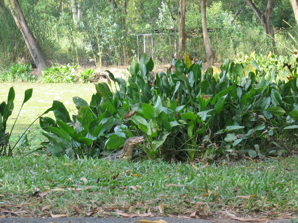 Khlong Nung, Khlong Luang District, Pathum Thani 12120, Thailand by Ēriks Krūze