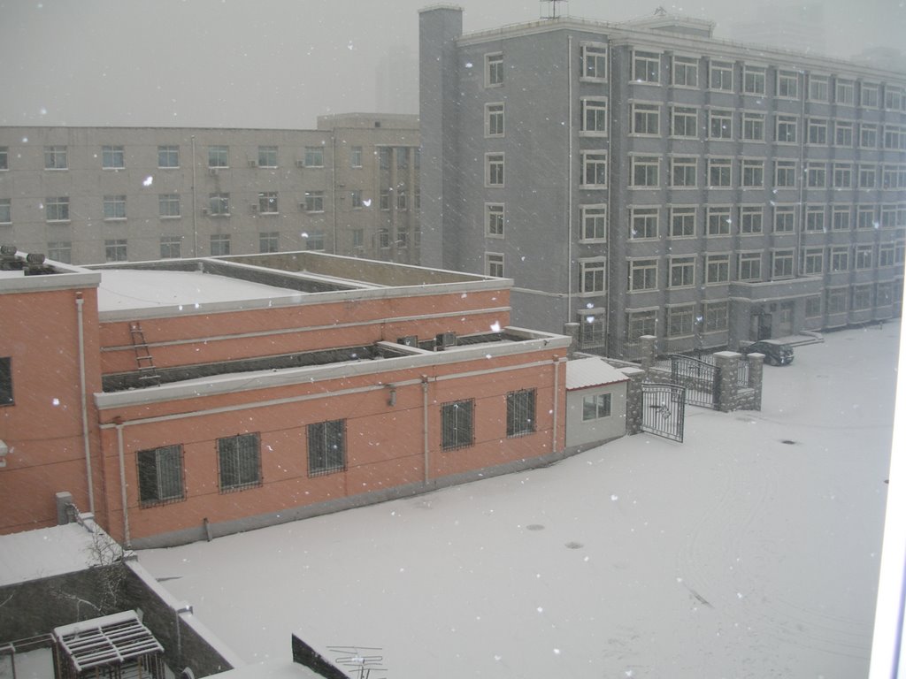 大雪 2007:11:19 15:07:27 地点：十舍 四楼 by wyvern