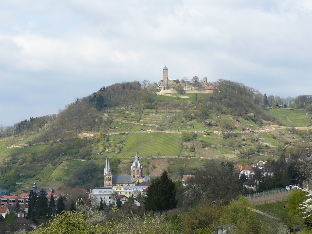 Heppenheim vom Eckweg aus gesehen by Armin Silber