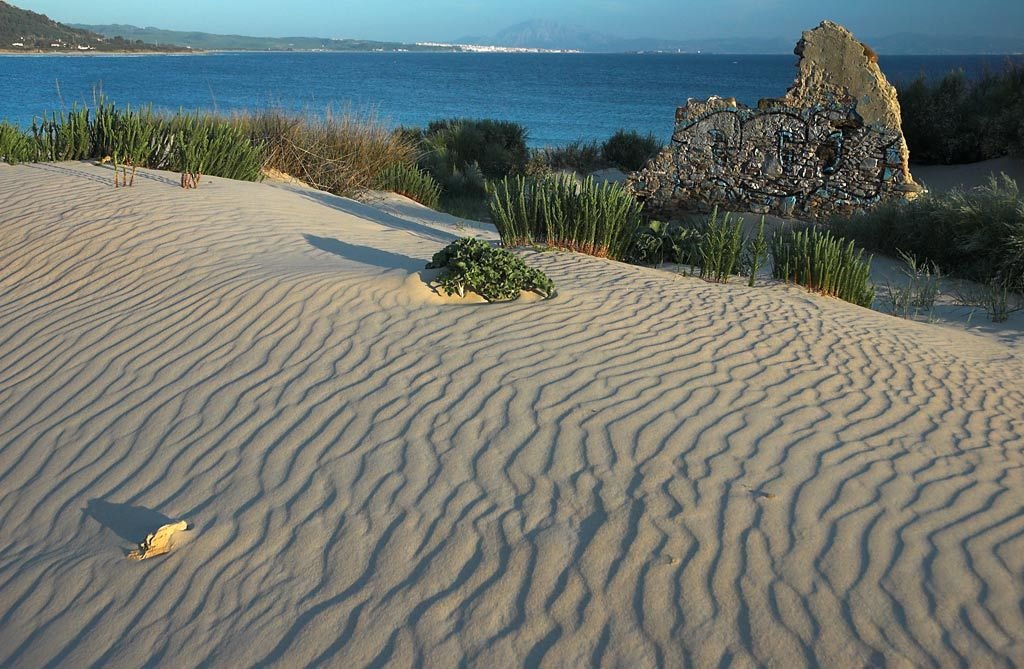 Duna en Tarifa by Carlos M García