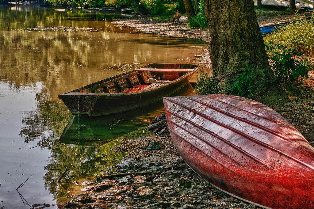 Folyópart, riverside by Sugár