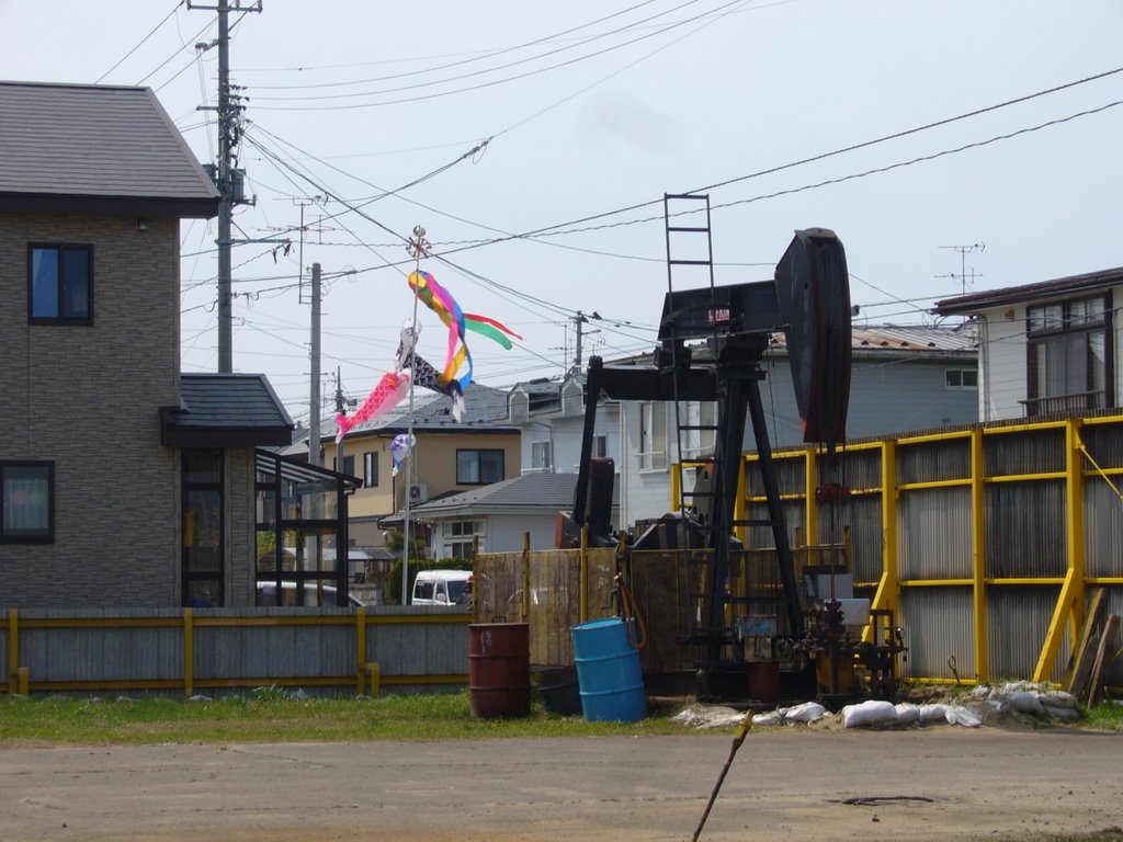 Yabase oilfield (八橋油田) by miyarin