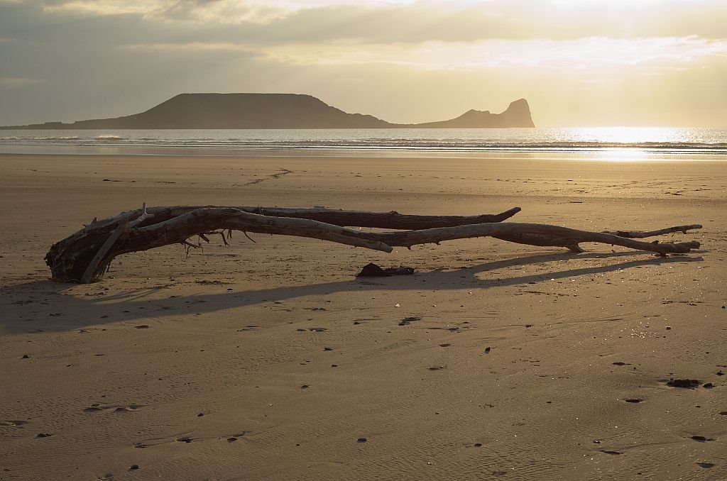 Rhossili beach - driftwood after storm by trevmorris