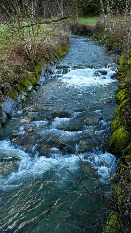 Mb - Im Heimisbach - Fresh Water by ♫ Swissmay