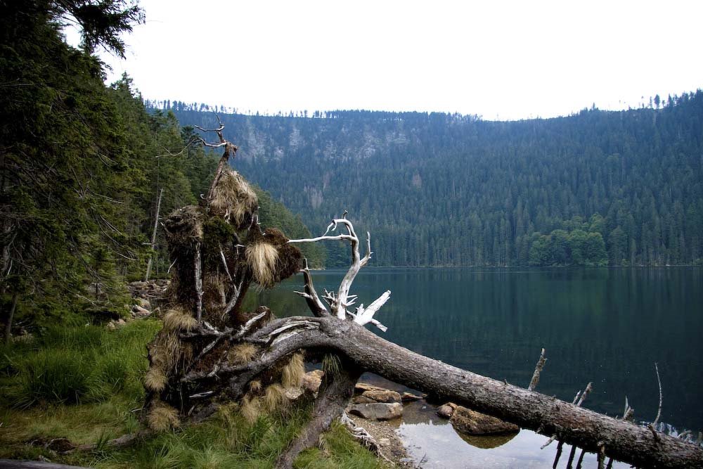 Certovo jezero lake by jansrejber