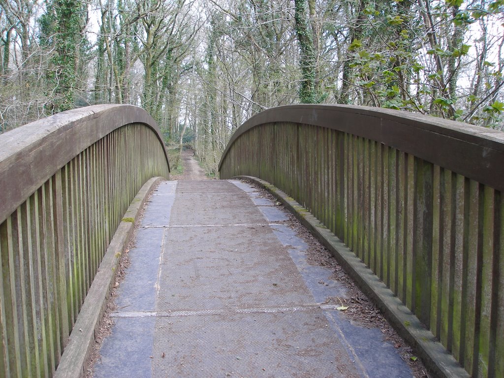 Plymbridge woods footbridge by wendyemlyn