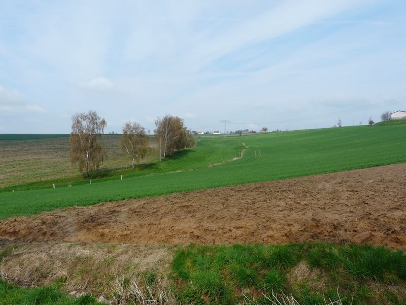 Naundorf, Blick nach Zollschwitz by Walter Stuber