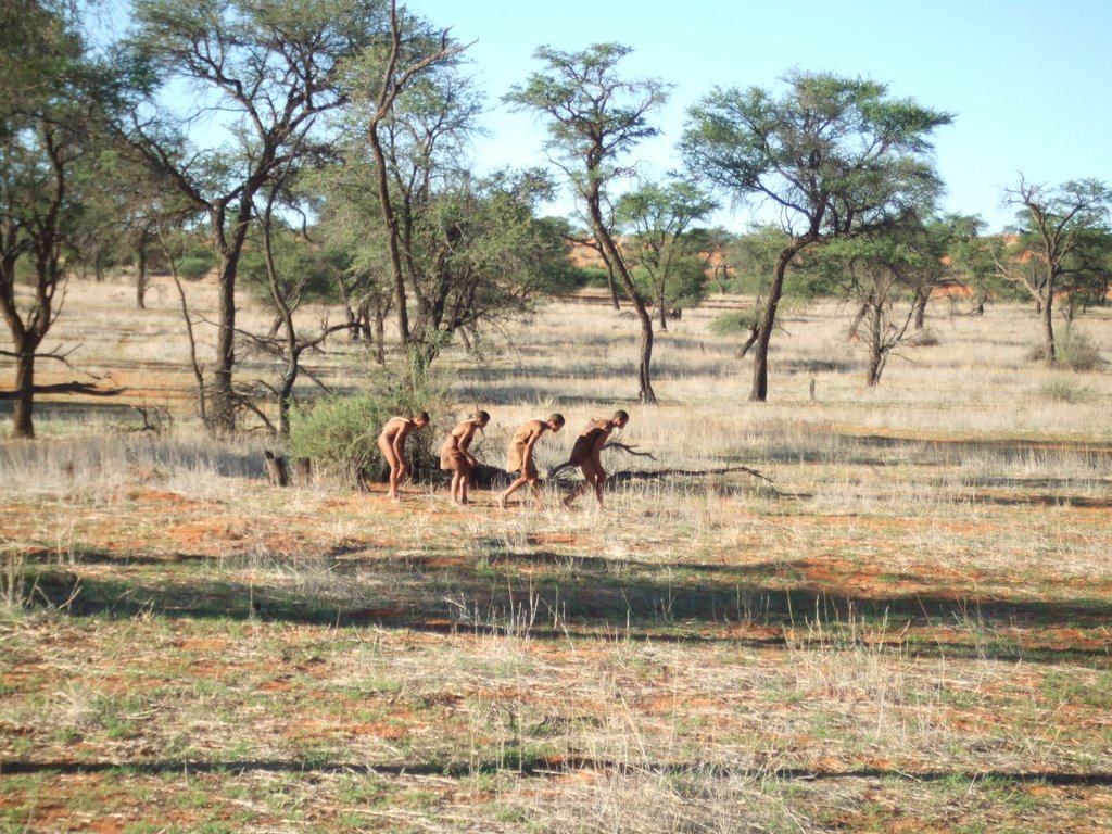 DG / Bushmen in der Kalahari by grispi