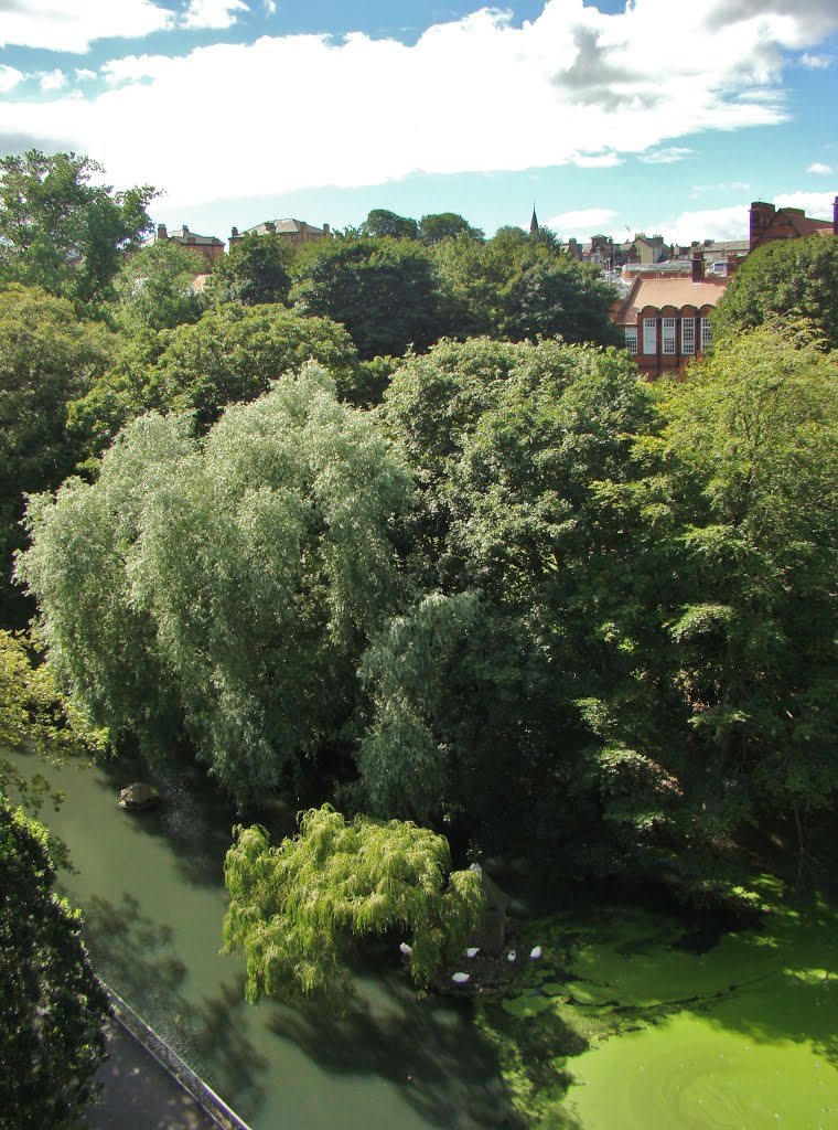 Valley Park trees and lake, Scarborough YO11 by 6by7en