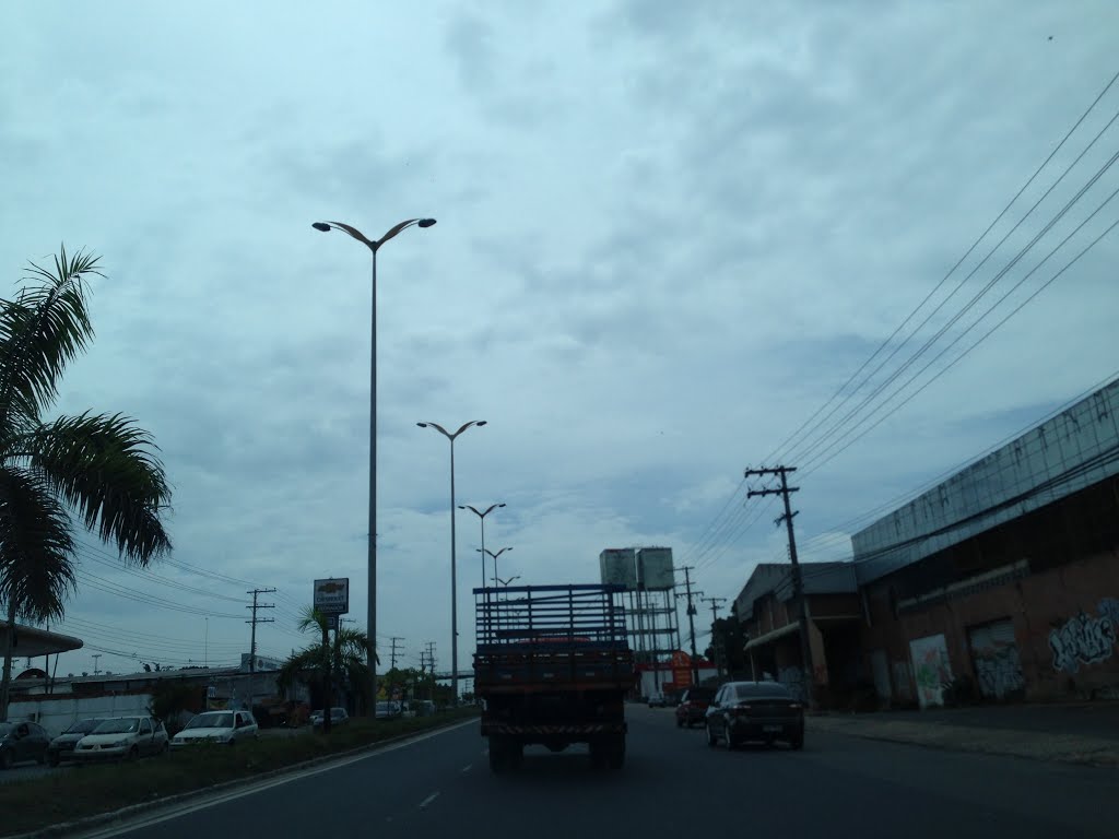 Avenida Torquato Tapajós, Manaus Brasil. by Dedé de Zé Luca