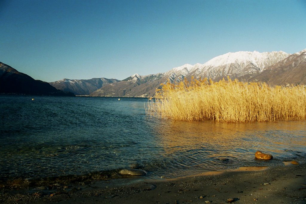 Alba invernale by andrea riberti