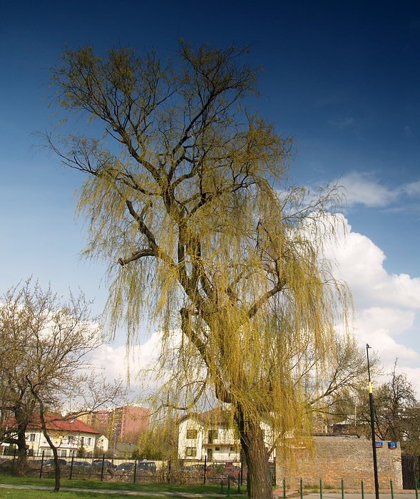 Park Szczęśliwicki by moozg