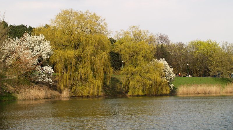 Park Szczęśliwicki by moozg