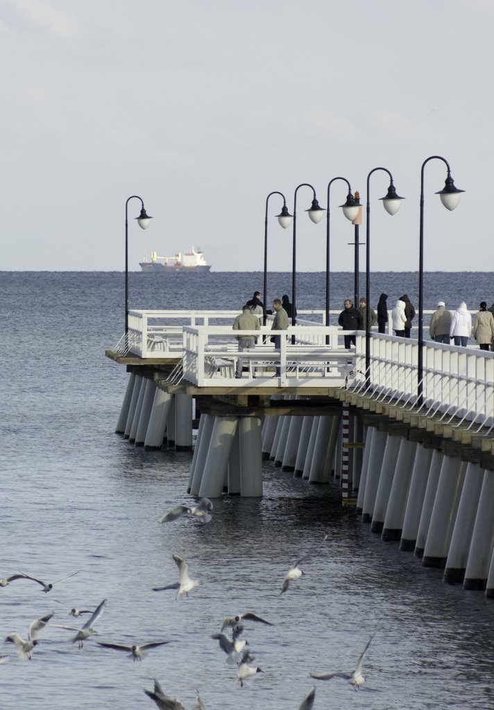 Gdynia Orłowo, molo 2008 by RockyW