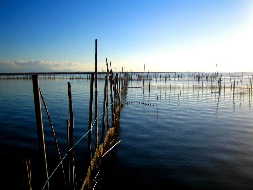 Albufera de valència by bert!