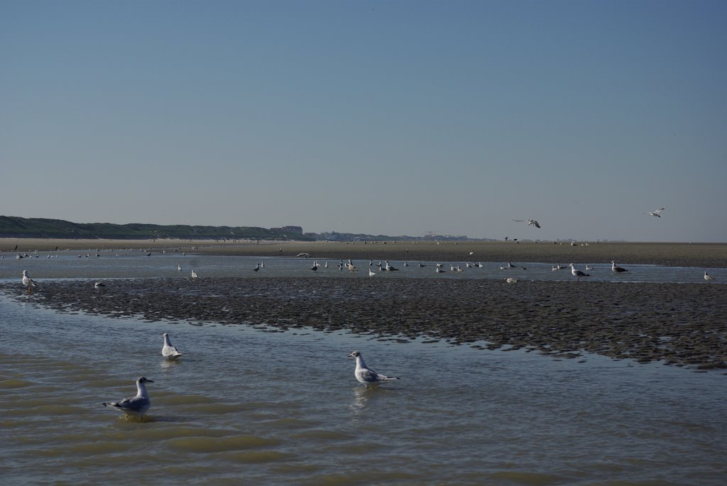 LE TOUQUET BEACH by François Pitrou