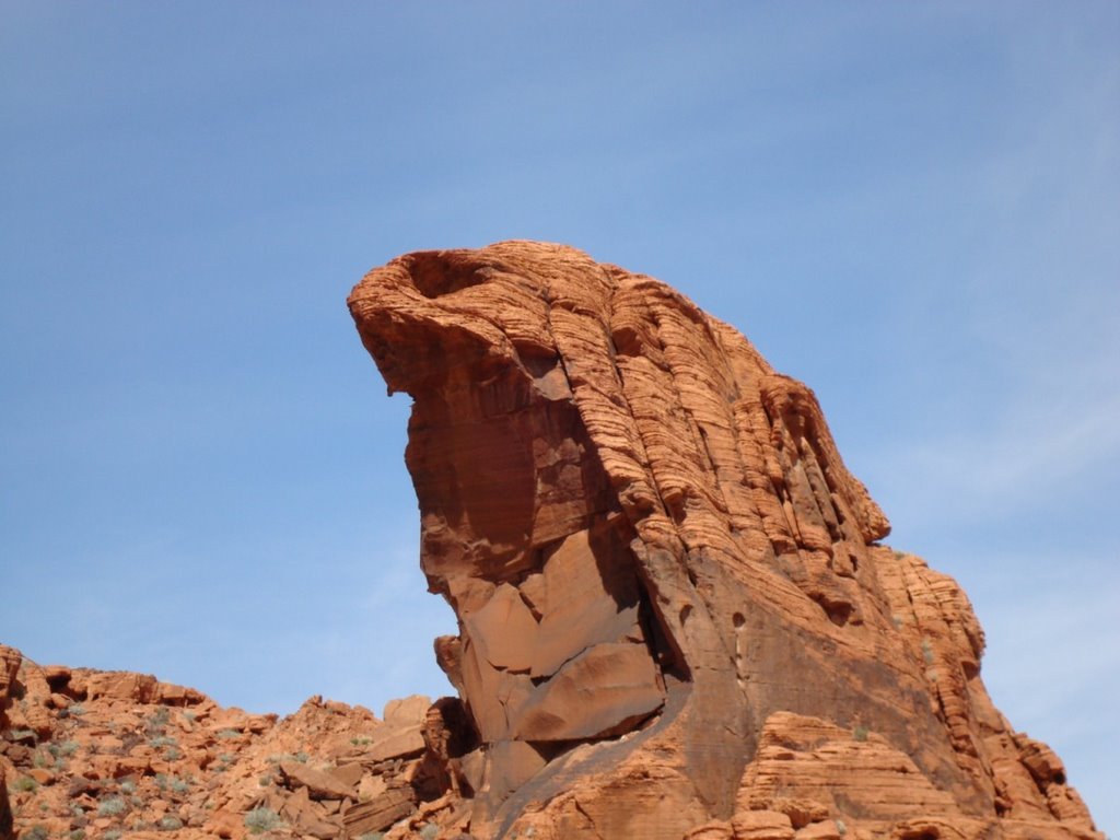 Cobra Rock, Valley of Fire by kittenpower