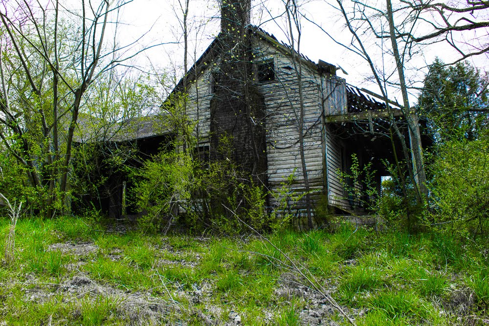 ABANDONED ELKMONT PLANTATION 1 by jennyferfaithhope