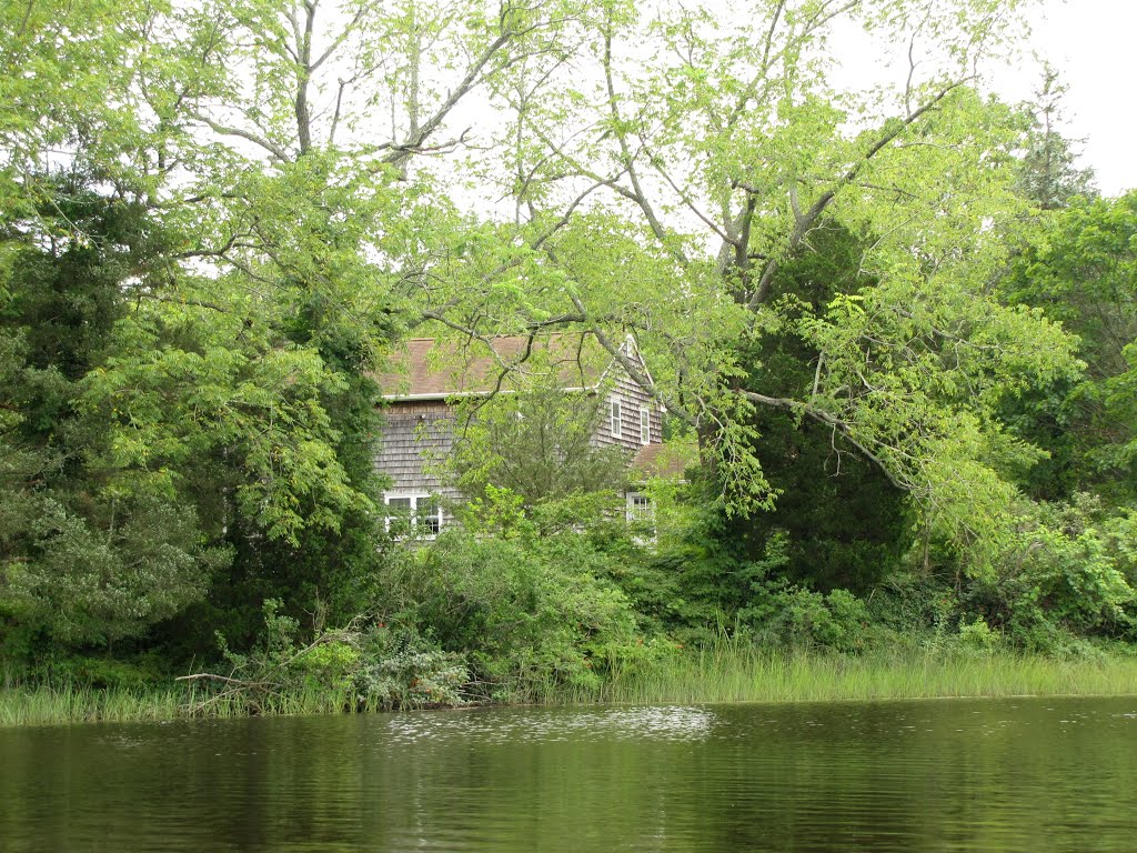 Tuckahoe River; Marshallville by Chris Sanfino