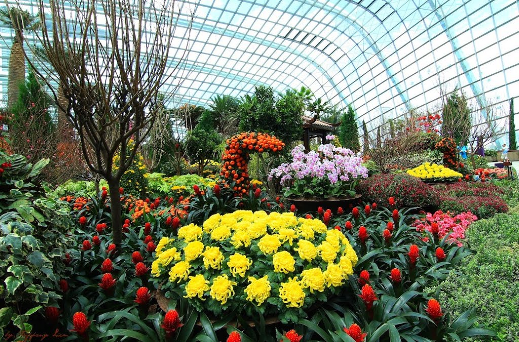 Flower domes @ Gardens by the Bay by Tiffany Liem