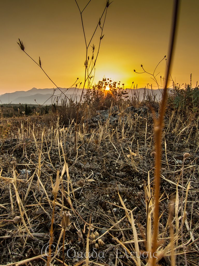 130814 - Ομάδα Έλευσις by Ομάδα Έλευσις  -  Elefsis