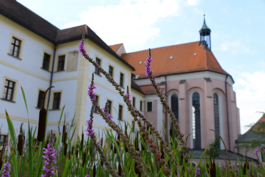 Kloster Aldersbach by Markus Zinöcker