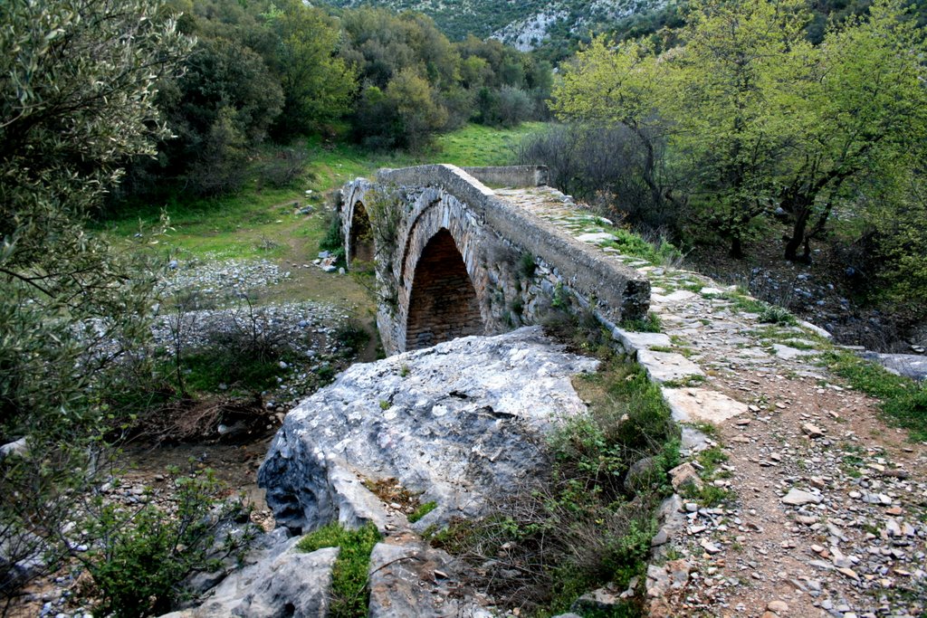 Stone bridge in Palios Platanos by argycon