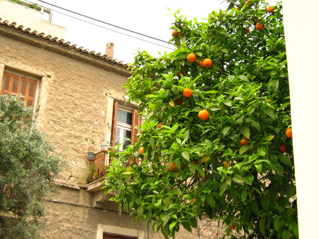 Old building with orange tree by mpulle