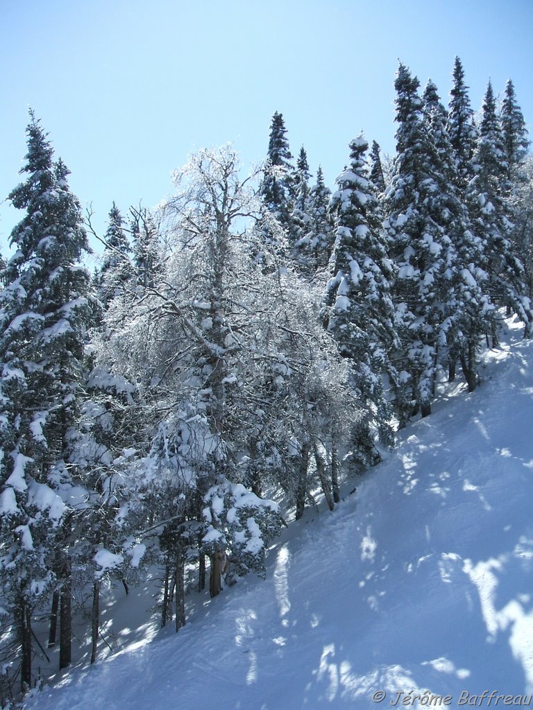 Warren (Sugarbush), VT by Jérôme B.