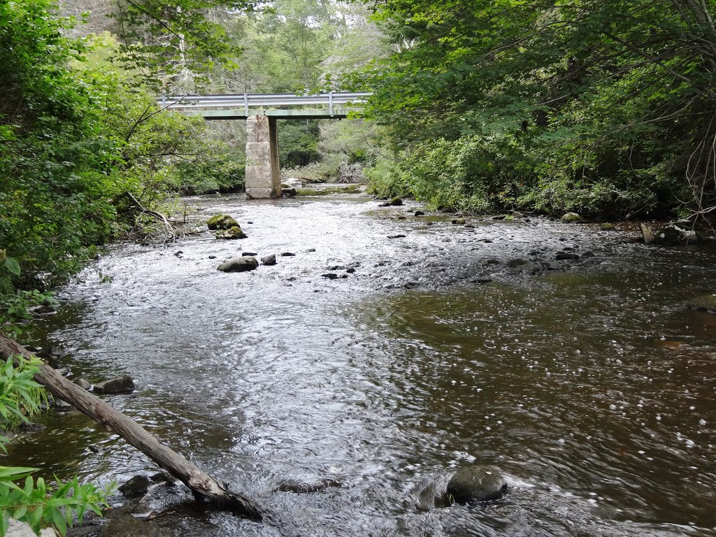 Little River, Lisbon Falls Maine by Taoab