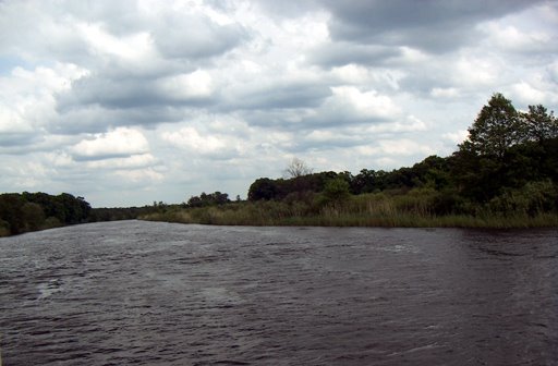 Voronezh river @ Chertvitsy by Sergei Sarychev