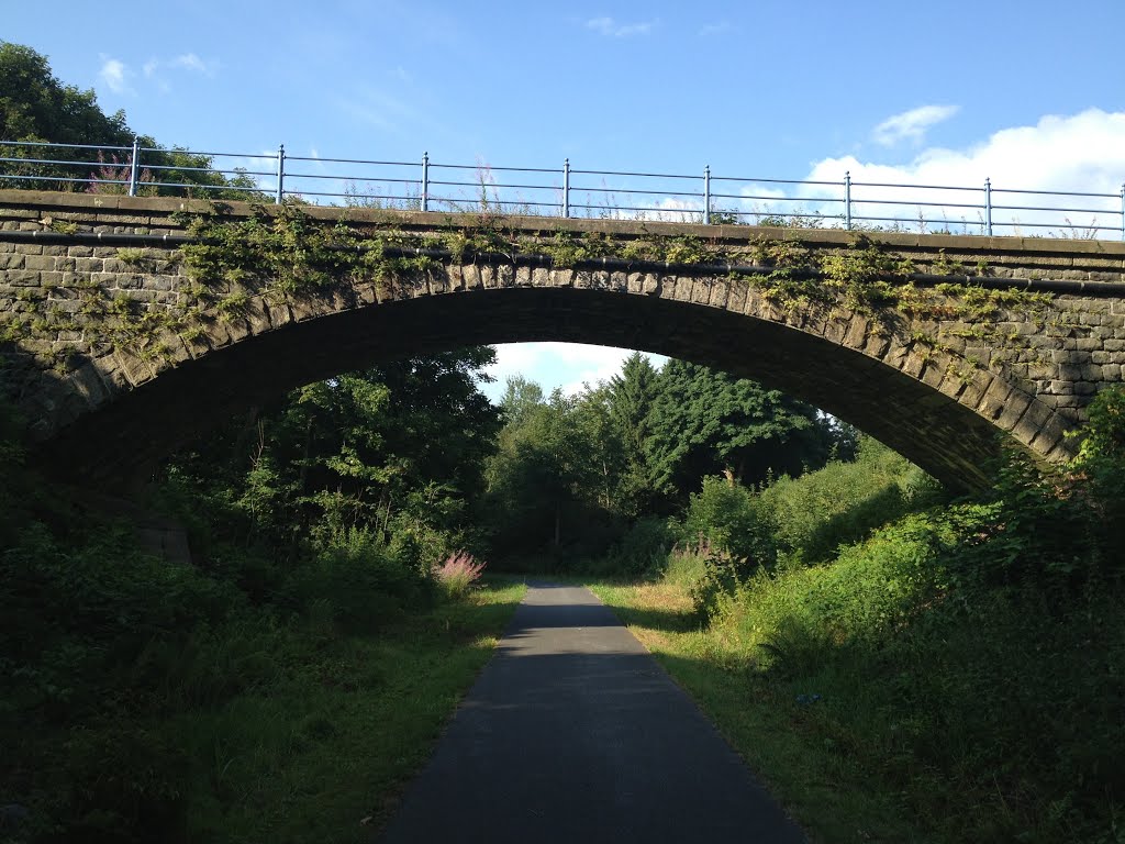 Brücke über den Vulkanradweg nahe Hartmannshain by Donnerstagswanderer