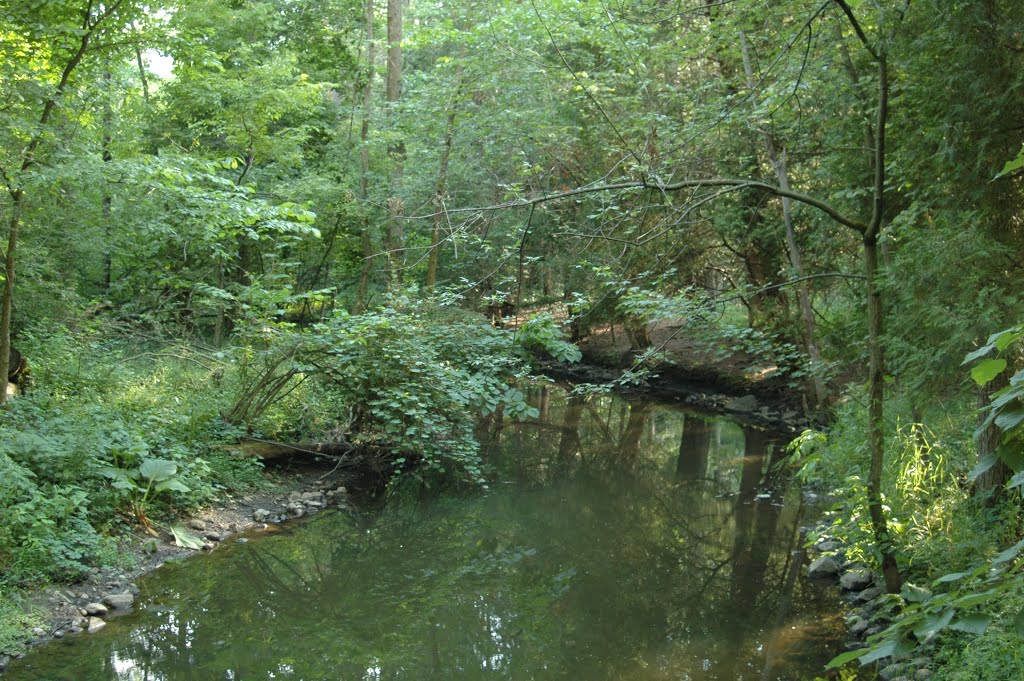 Stony Creek Metropolitan Park by plumgarden