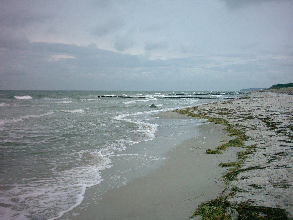 Strand von Hiddensee, Westseite by schroetdi