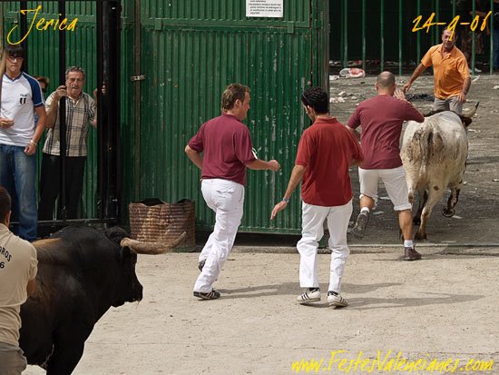 Entrada en Septiembre - Entrando en la Plaza by PMACARTE