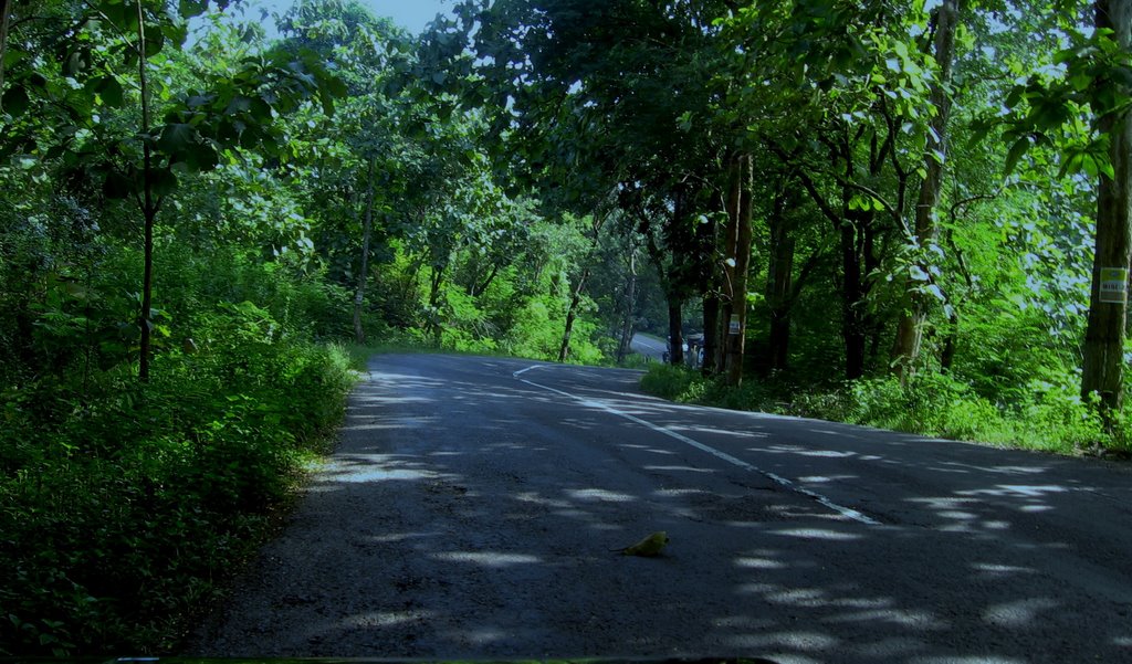 Hutan Jati Monggot Geyer KedungOmbo by Erry AN ErryanZ