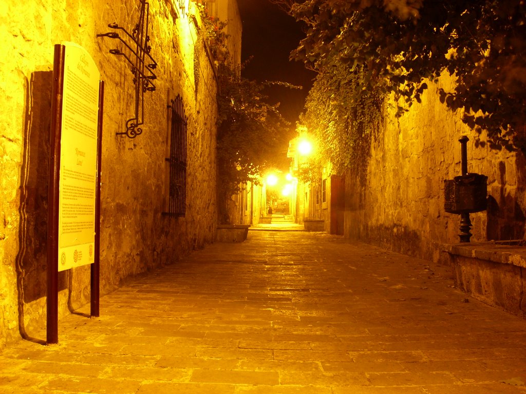 Entrada al Callejón del Romance, de noche by Paco Beretta