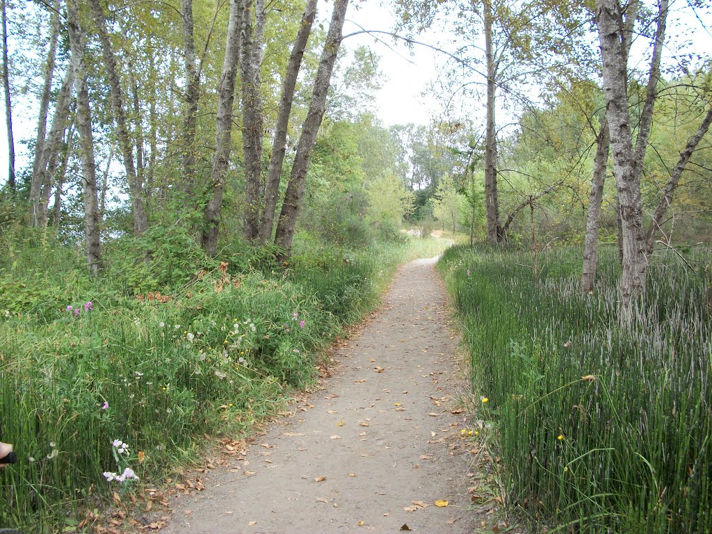 Deas Island, on 'Island Tip Trail', >East by 123acme