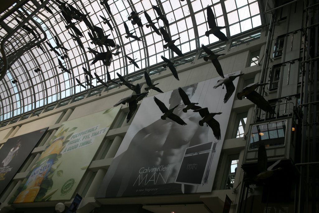 Toronto Eaton Centre, Toronto, Ontario, Canada by Hans Sterkendries