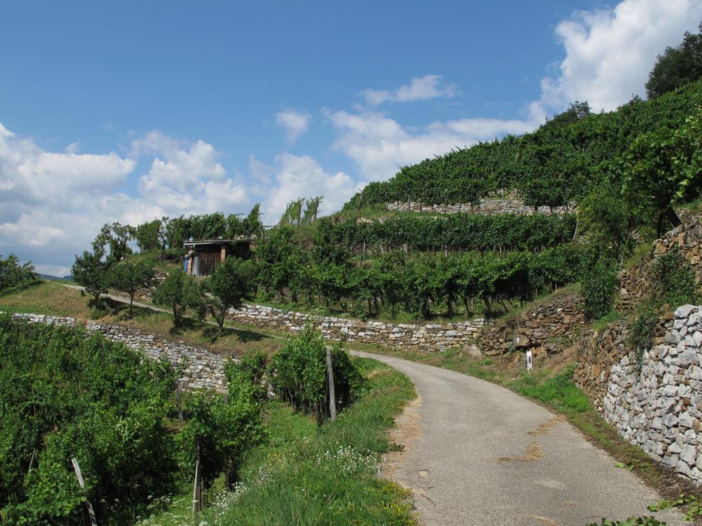 Welterbesteig Wachau; Spitz - Mühldorf by cerambyx