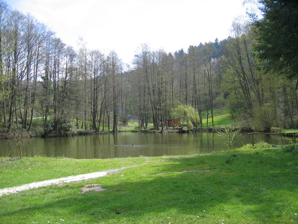 Weiher am Kugelberg in Gernsbach / Pond in the Kugelberg in Gernsbach by Ralf Steib