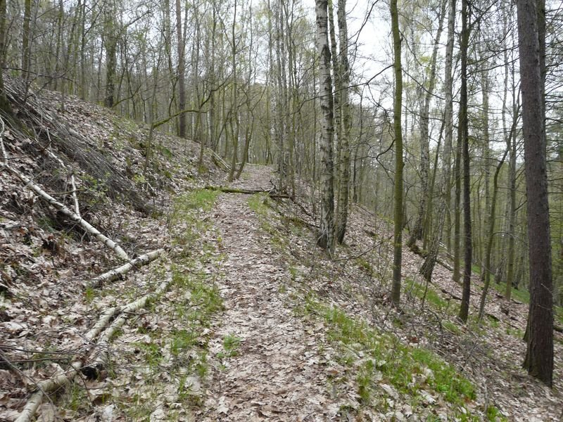 Paudritzsch, Wunderschöner Wanderweg by Walter Stuber