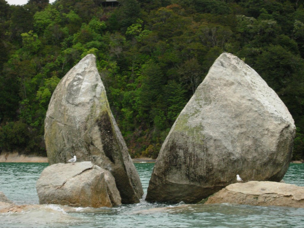 Split Apple - Abel Tasman by Bavaler