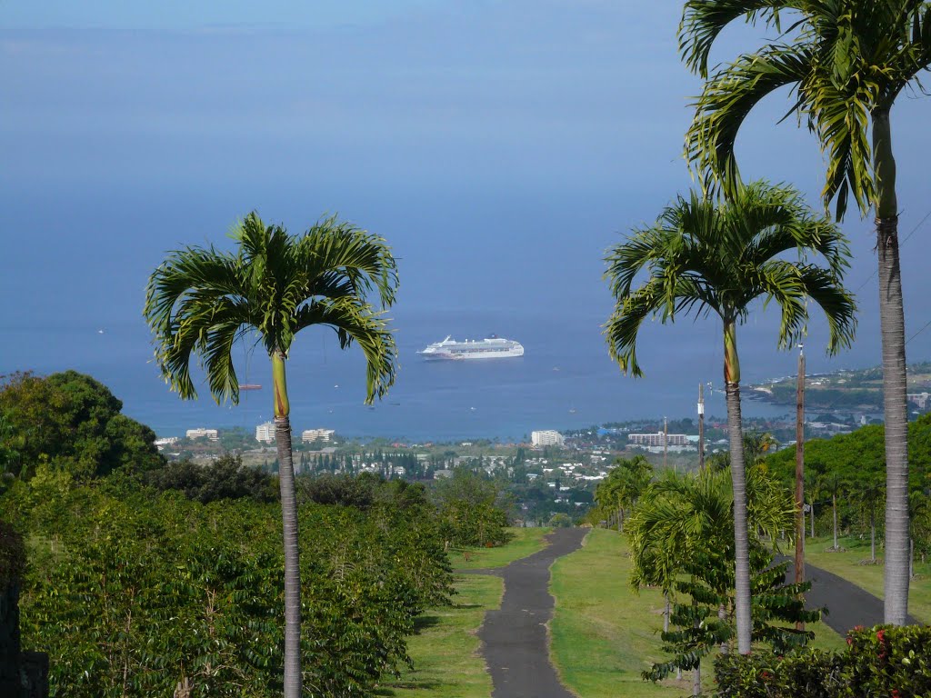 UCC Coffee Farm and Kailua-Kona by miyazakimasao