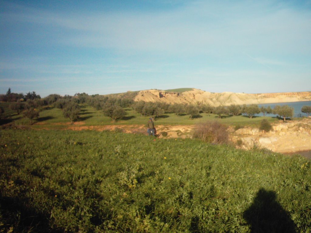 Paysage près de barrage Sidi Salem by adnen1985