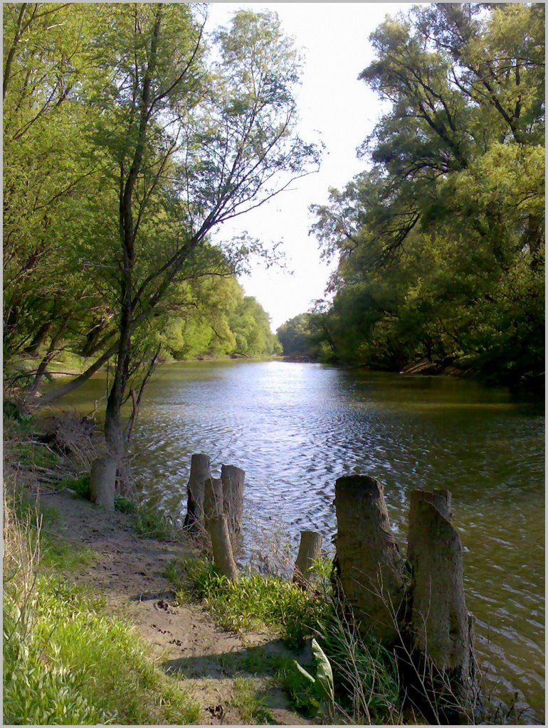 Gödi n.p. - National park in Göd by Atti