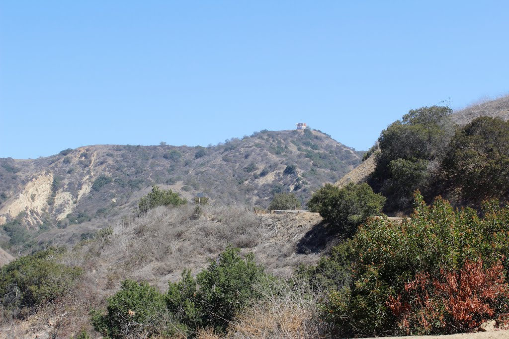 Tunbull Canyon Road, Hacienda Heights California by 李苏