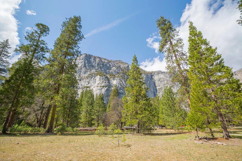 HDR Composition - Four Mile Trail - Yosemite National Park by Sunny Wu