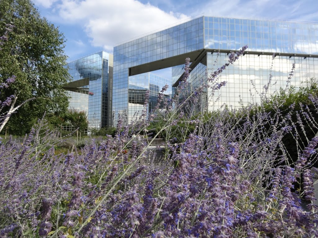 Lavender and "Le Ponant" in Parc Citroen by we_ll_find_you