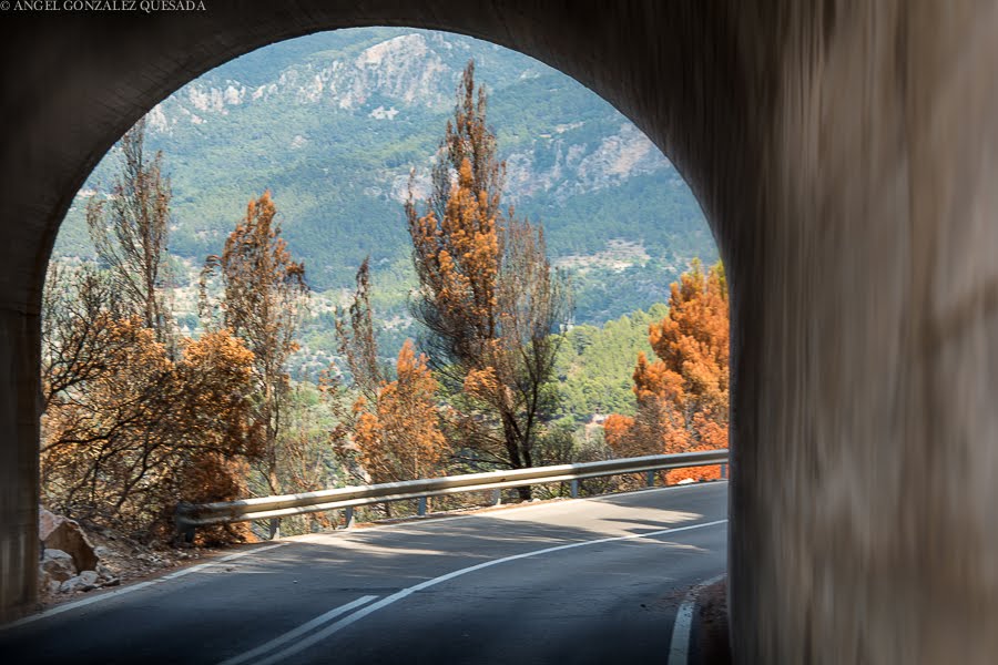 Después del túnel by Ángel González